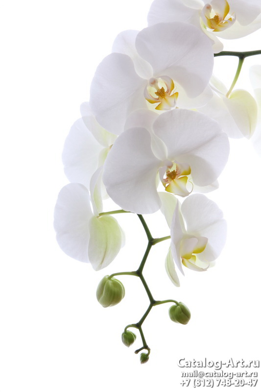 Натяжные потолки с фотопечатью - Белые орхидеи 54